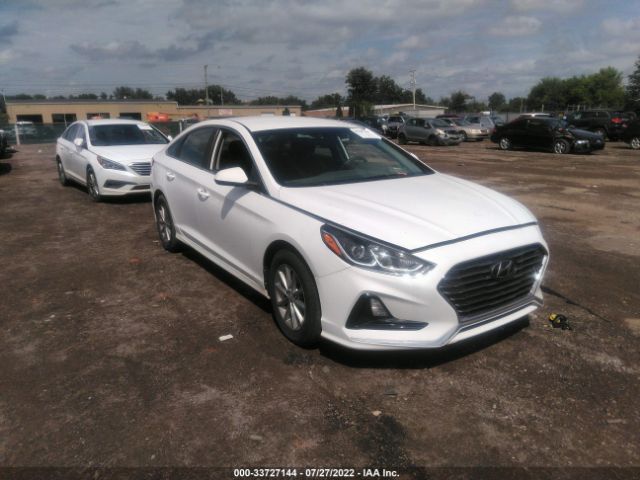 HYUNDAI SONATA 2018 5npe24af7jh619564