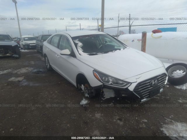 HYUNDAI SONATA 2018 5npe24af7jh623694