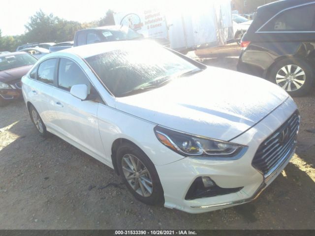 HYUNDAI SONATA 2018 5npe24af7jh629284