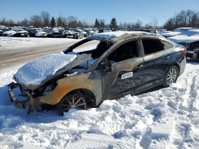 HYUNDAI SONATA 2018 5npe24af7jh698752