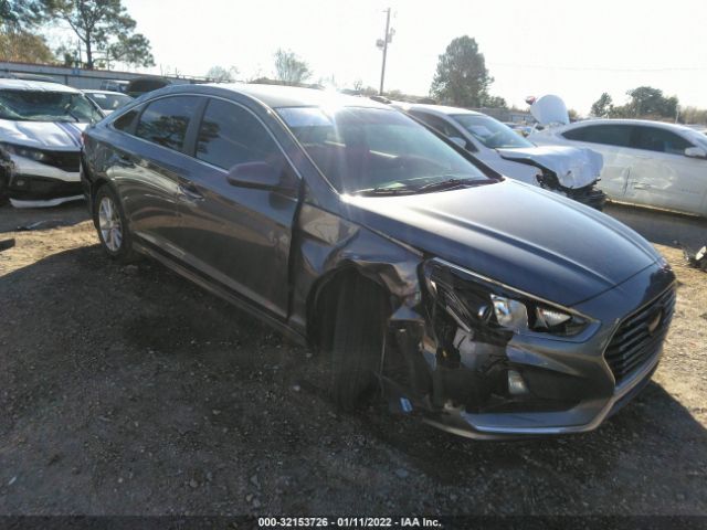 HYUNDAI SONATA 2018 5npe24af7jh703125