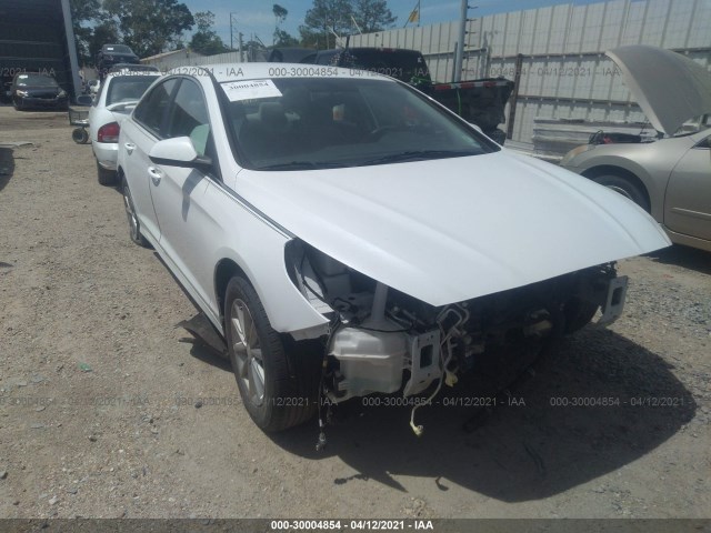 HYUNDAI SONATA 2018 5npe24af7jh704422