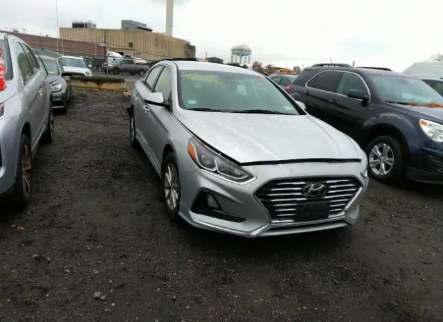 HYUNDAI SONATA 2018 5npe24af7jh723567