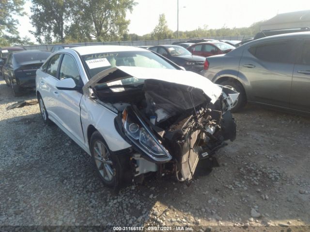 HYUNDAI SONATA 2019 5npe24af7kh730584