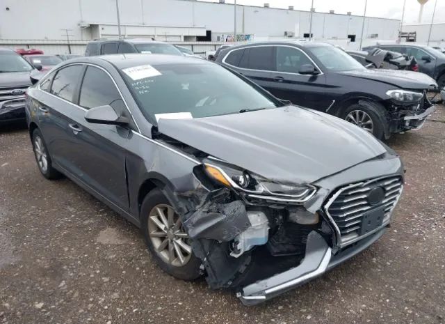 HYUNDAI SONATA 2019 5npe24af7kh730861