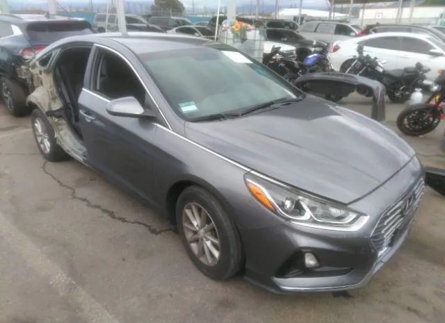 HYUNDAI SONATA 2019 5npe24af7kh732626