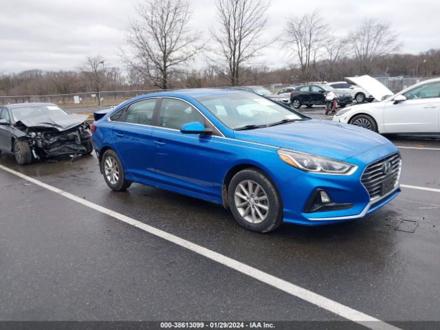 HYUNDAI SONATA 2019 5npe24af7kh733517