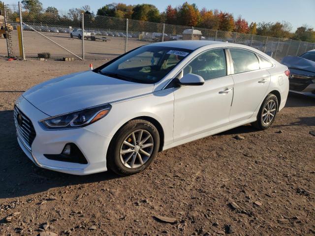 HYUNDAI SONATA 2019 5npe24af7kh734263