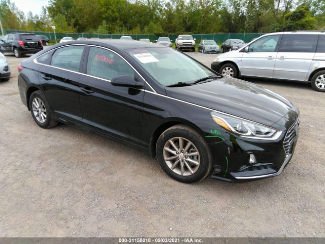 HYUNDAI SONATA 2019 5npe24af7kh734747