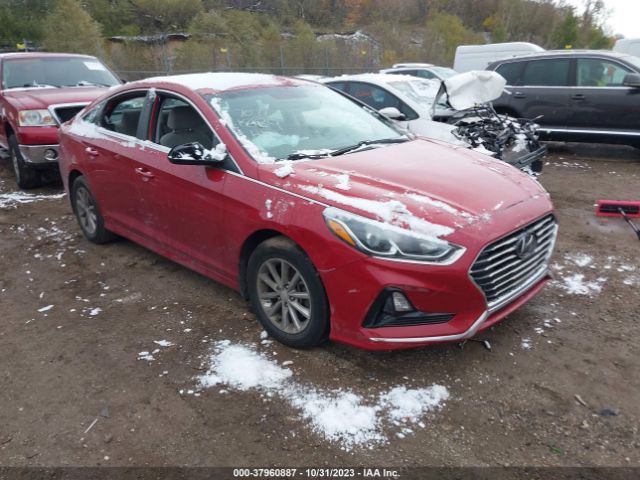 HYUNDAI SONATA 2019 5npe24af7kh739933