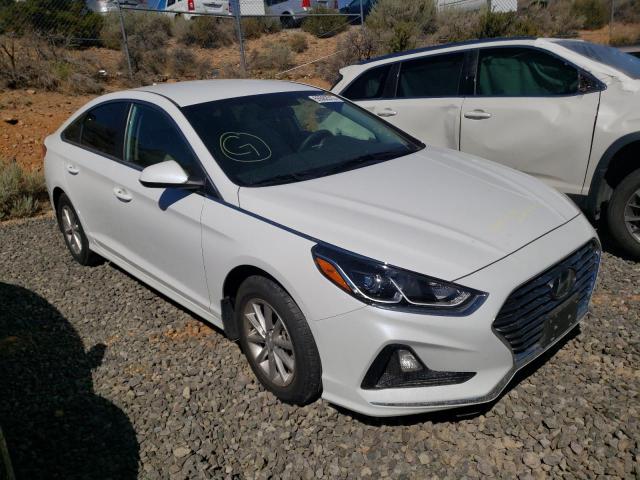 HYUNDAI SONATA SE 2019 5npe24af7kh742069