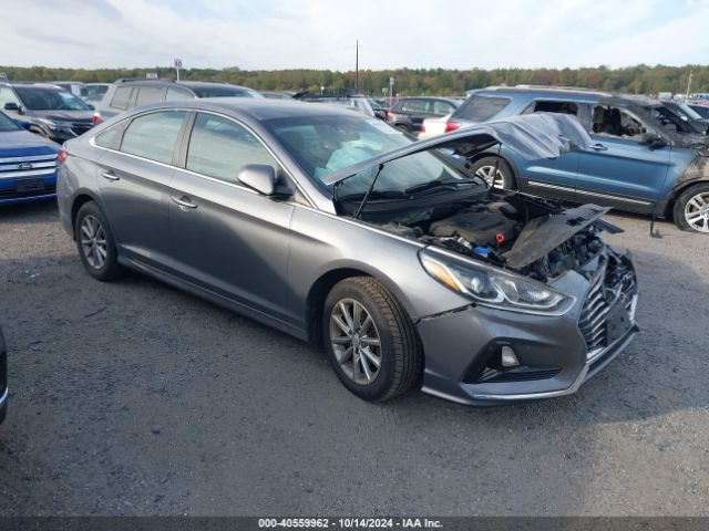 HYUNDAI SONATA 2019 5npe24af7kh745246