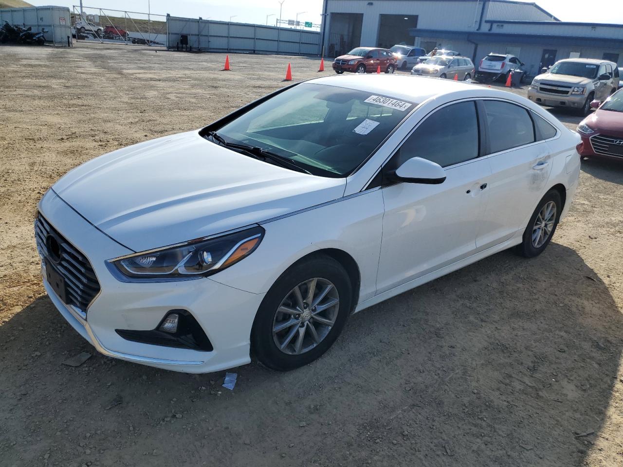 HYUNDAI SONATA 2019 5npe24af7kh751077