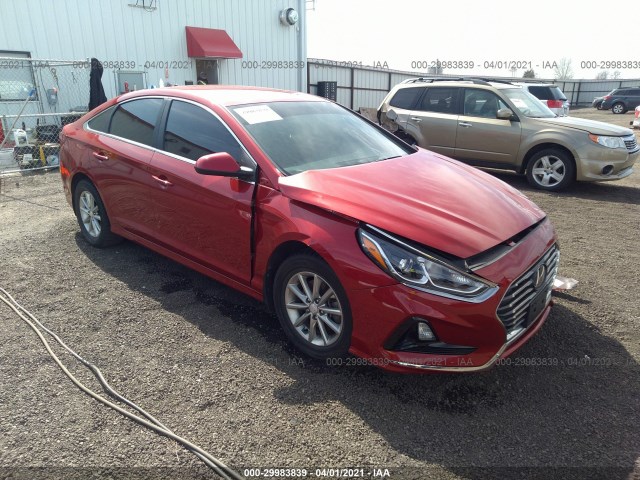 HYUNDAI SONATA 2019 5npe24af7kh751614