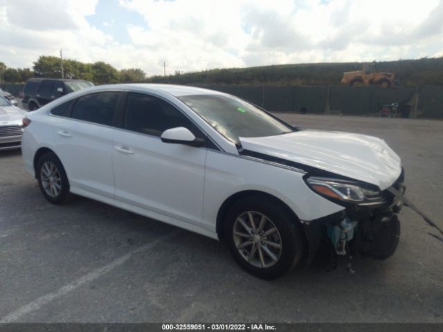 HYUNDAI SONATA 2019 5npe24af7kh752746