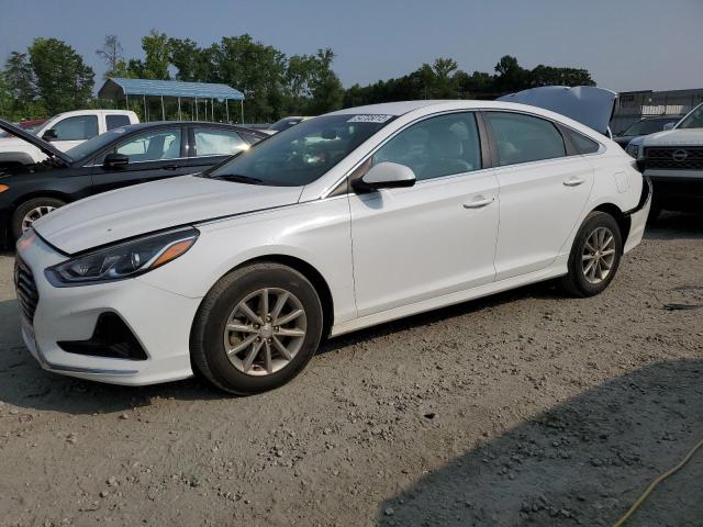 HYUNDAI SONATA SE 2019 5npe24af7kh753850