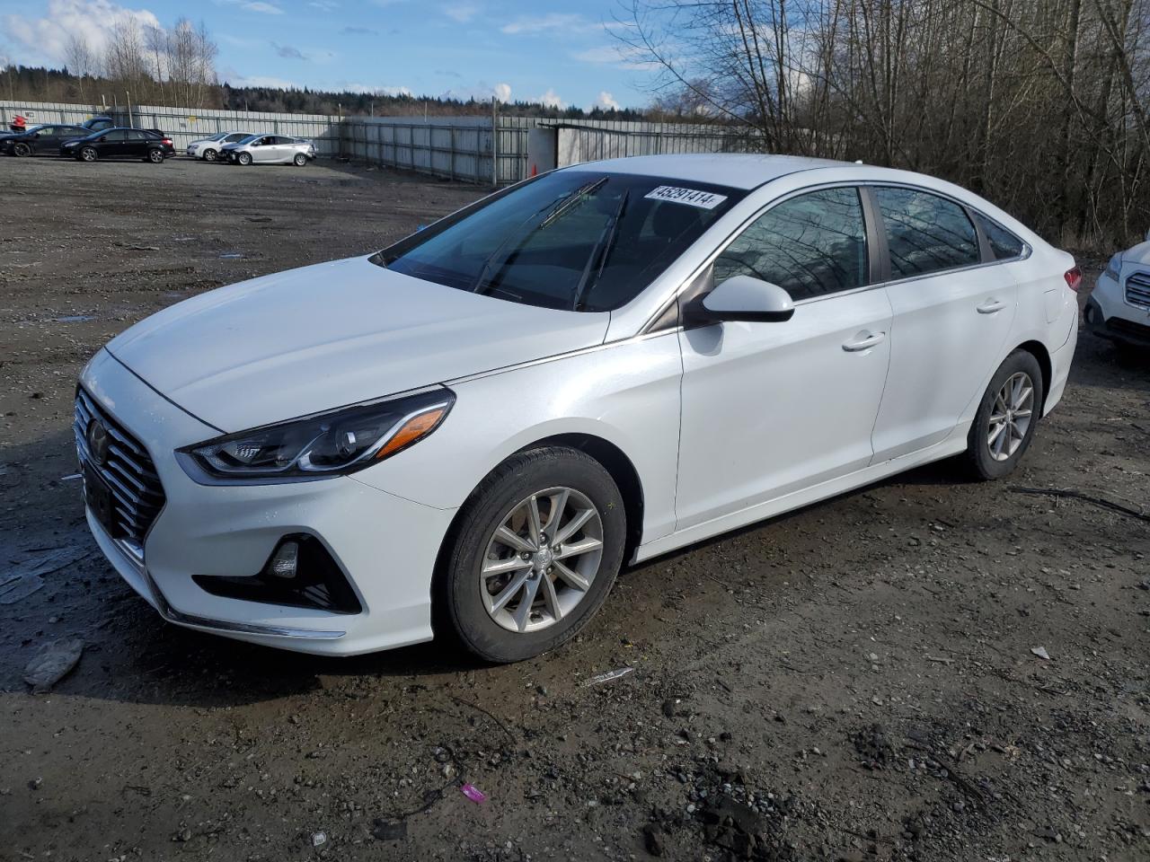 HYUNDAI SONATA 2019 5npe24af7kh755999