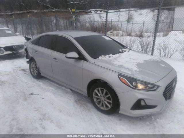 HYUNDAI SONATA 2019 5npe24af7kh756246