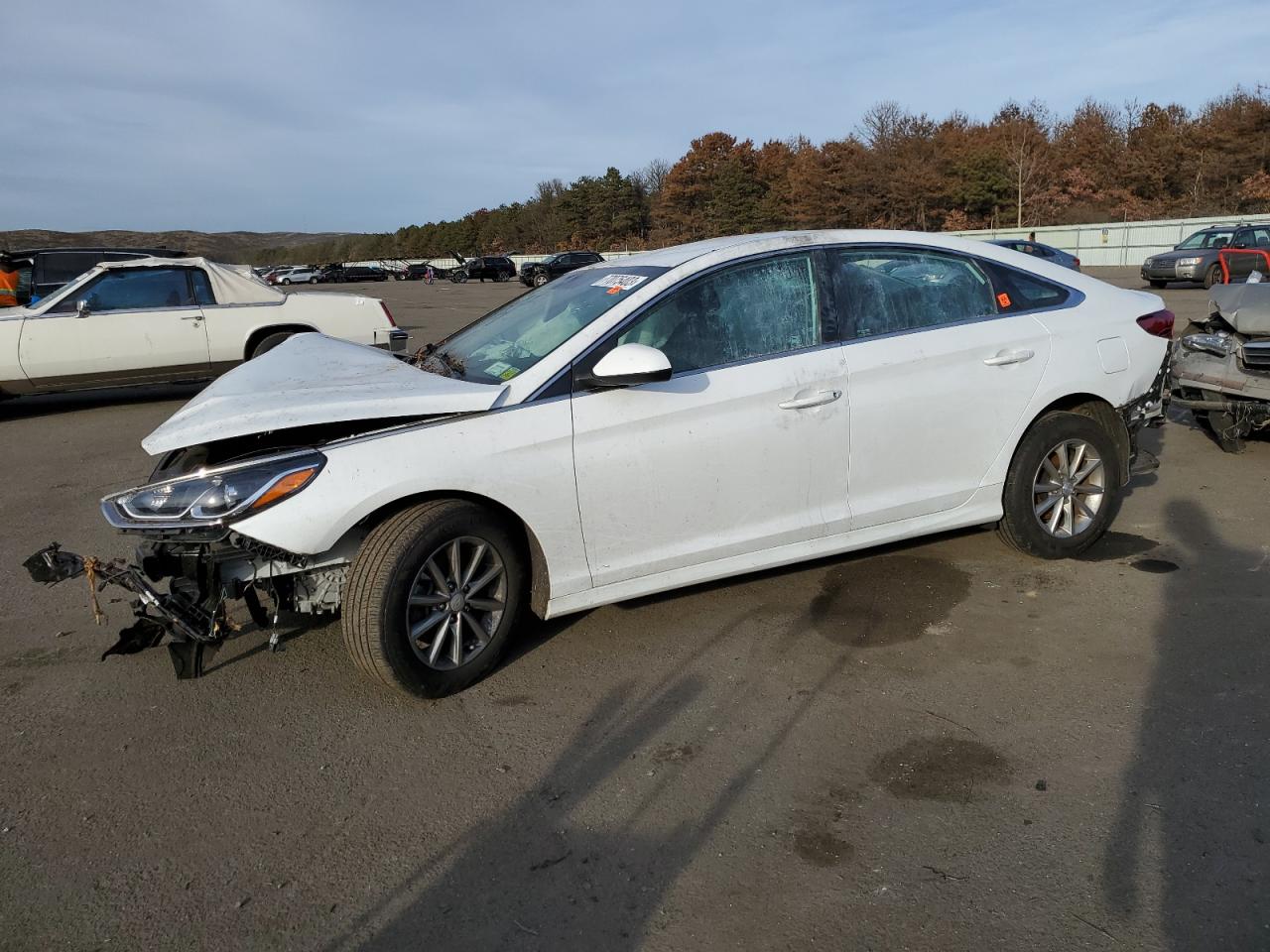 HYUNDAI SONATA 2019 5npe24af7kh757722