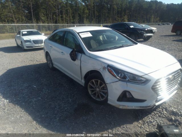 HYUNDAI SONATA 2019 5npe24af7kh758613