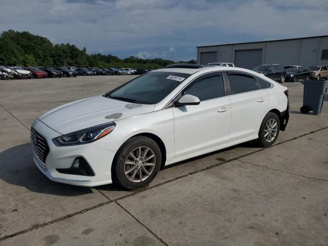 HYUNDAI SONATA 2019 5npe24af7kh759647