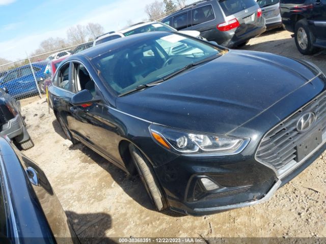 HYUNDAI SONATA 2019 5npe24af7kh764069