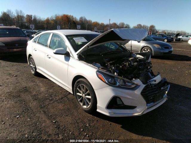 HYUNDAI SONATA 2019 5npe24af7kh765027