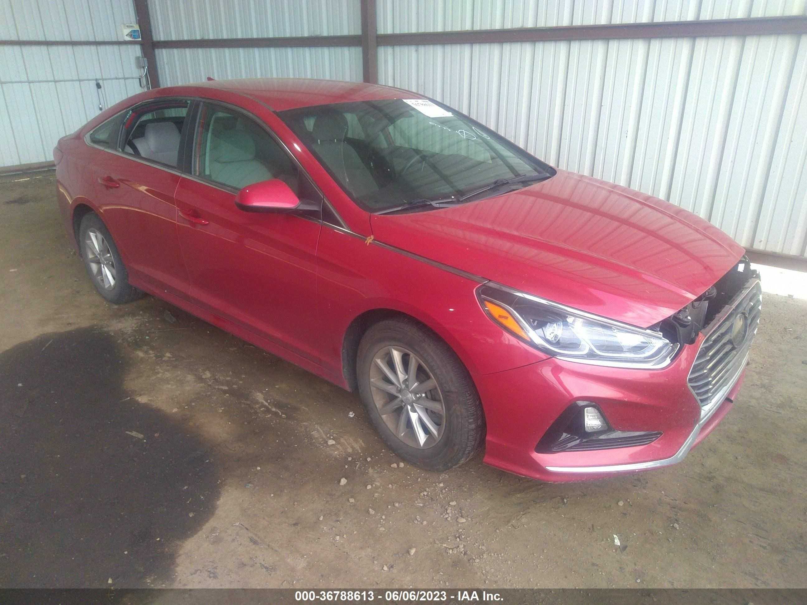 HYUNDAI SONATA 2019 5npe24af7kh768039