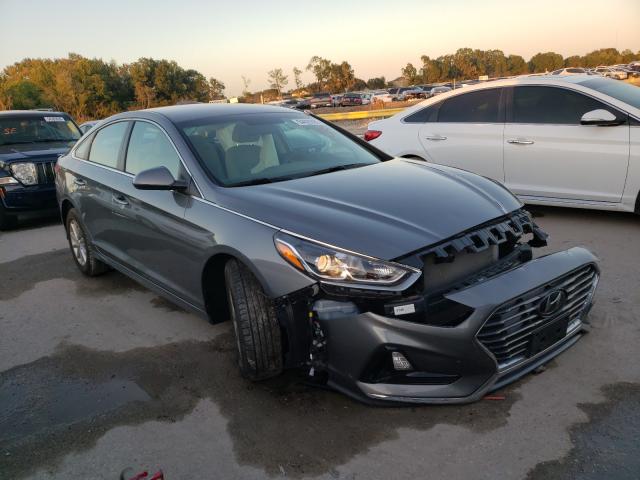 HYUNDAI SONATA SE 2019 5npe24af7kh768087