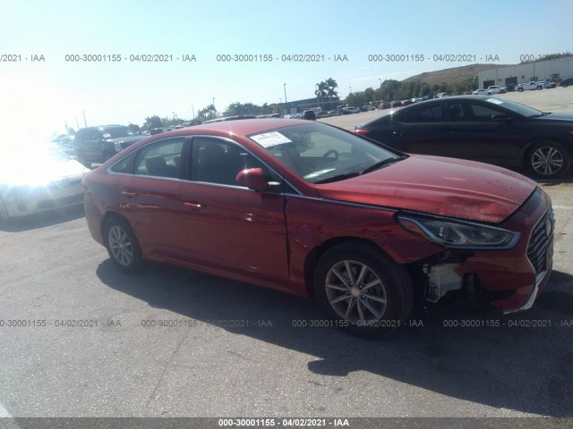 HYUNDAI SONATA 2019 5npe24af7kh768347