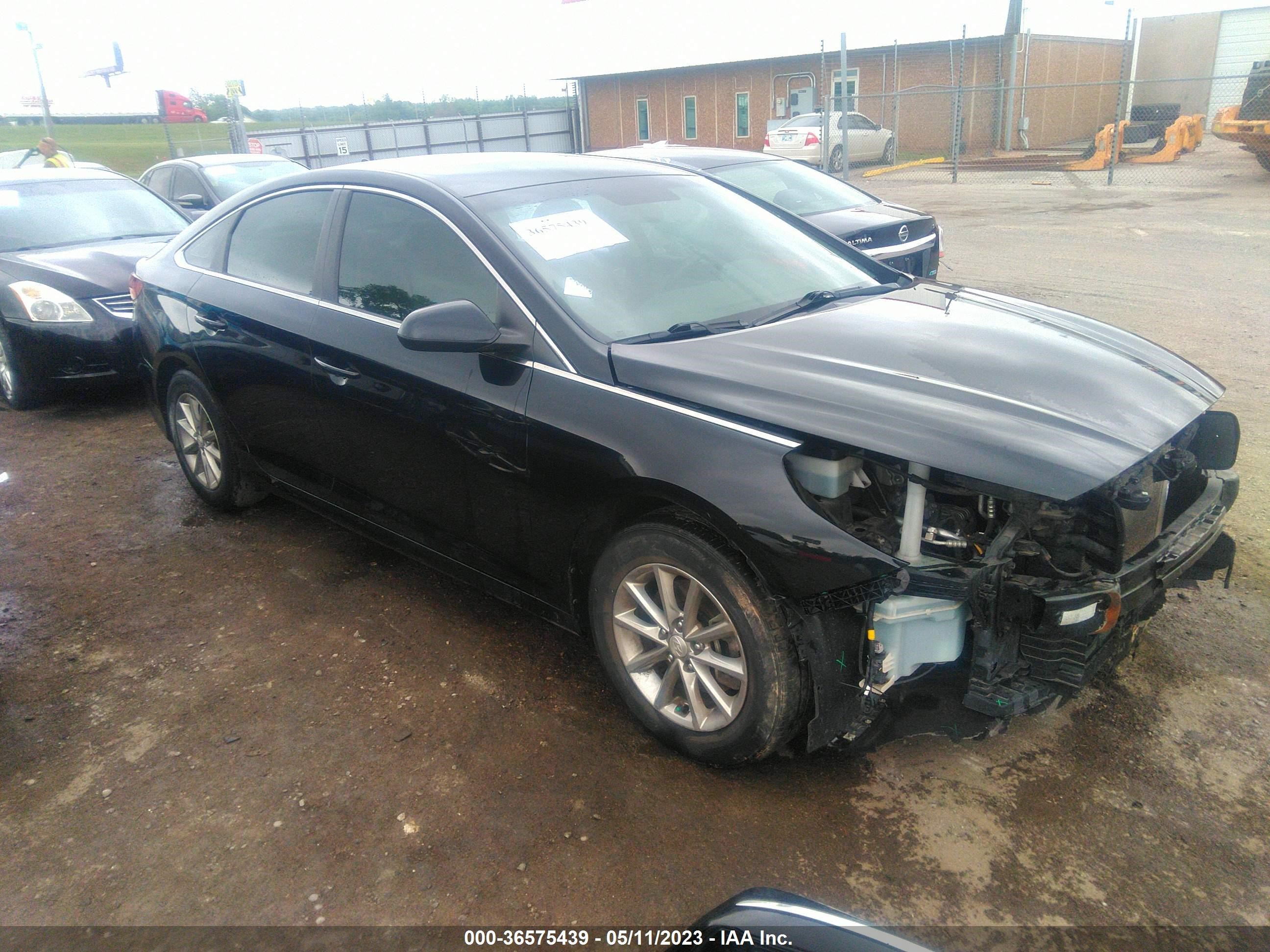 HYUNDAI SONATA 2019 5npe24af7kh771412