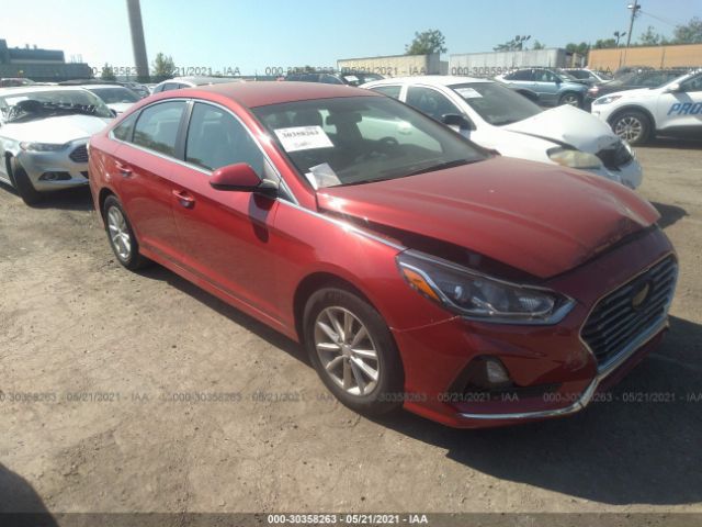 HYUNDAI SONATA 2019 5npe24af7kh773516