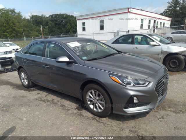 HYUNDAI SONATA 2019 5npe24af7kh775198