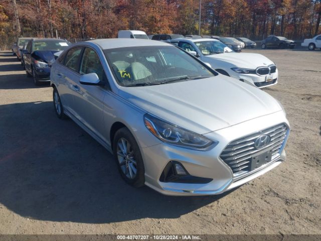 HYUNDAI SONATA 2019 5npe24af7kh779512