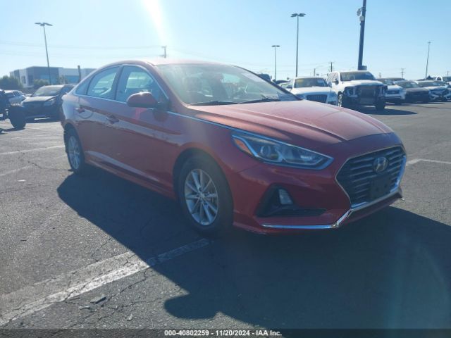 HYUNDAI SONATA 2019 5npe24af7kh779817