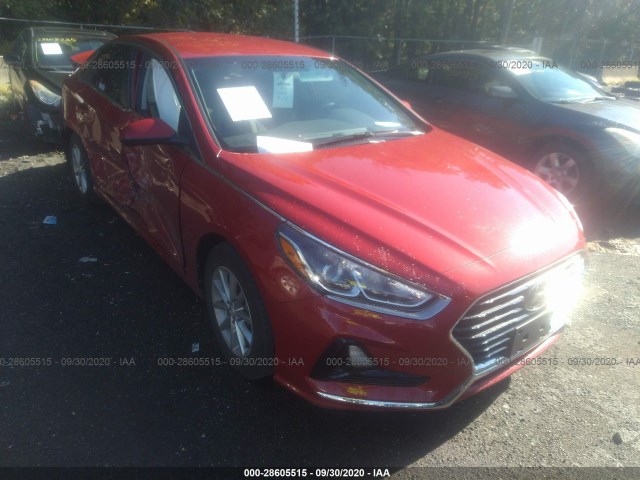 HYUNDAI SONATA 2019 5npe24af7kh783527