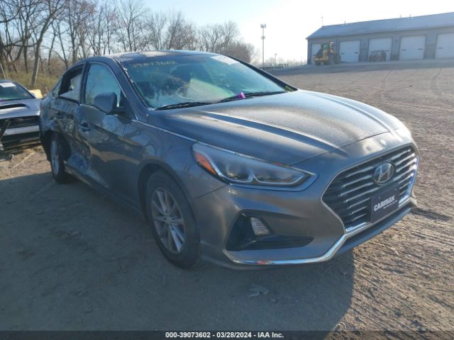 HYUNDAI SONATA 2019 5npe24af7kh783897