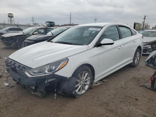 HYUNDAI SONATA 2019 5npe24af7kh784175