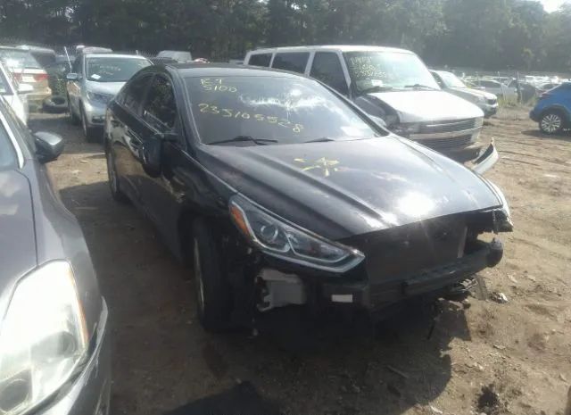 HYUNDAI SONATA 2019 5npe24af7kh785827