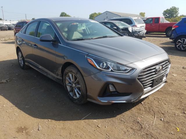 HYUNDAI SONATA SE 2019 5npe24af7kh789523