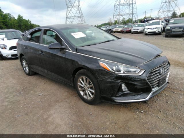 HYUNDAI SONATA 2019 5npe24af7kh793359