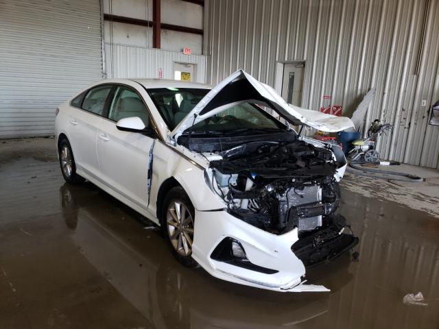 HYUNDAI SONATA SE 2019 5npe24af7kh794074