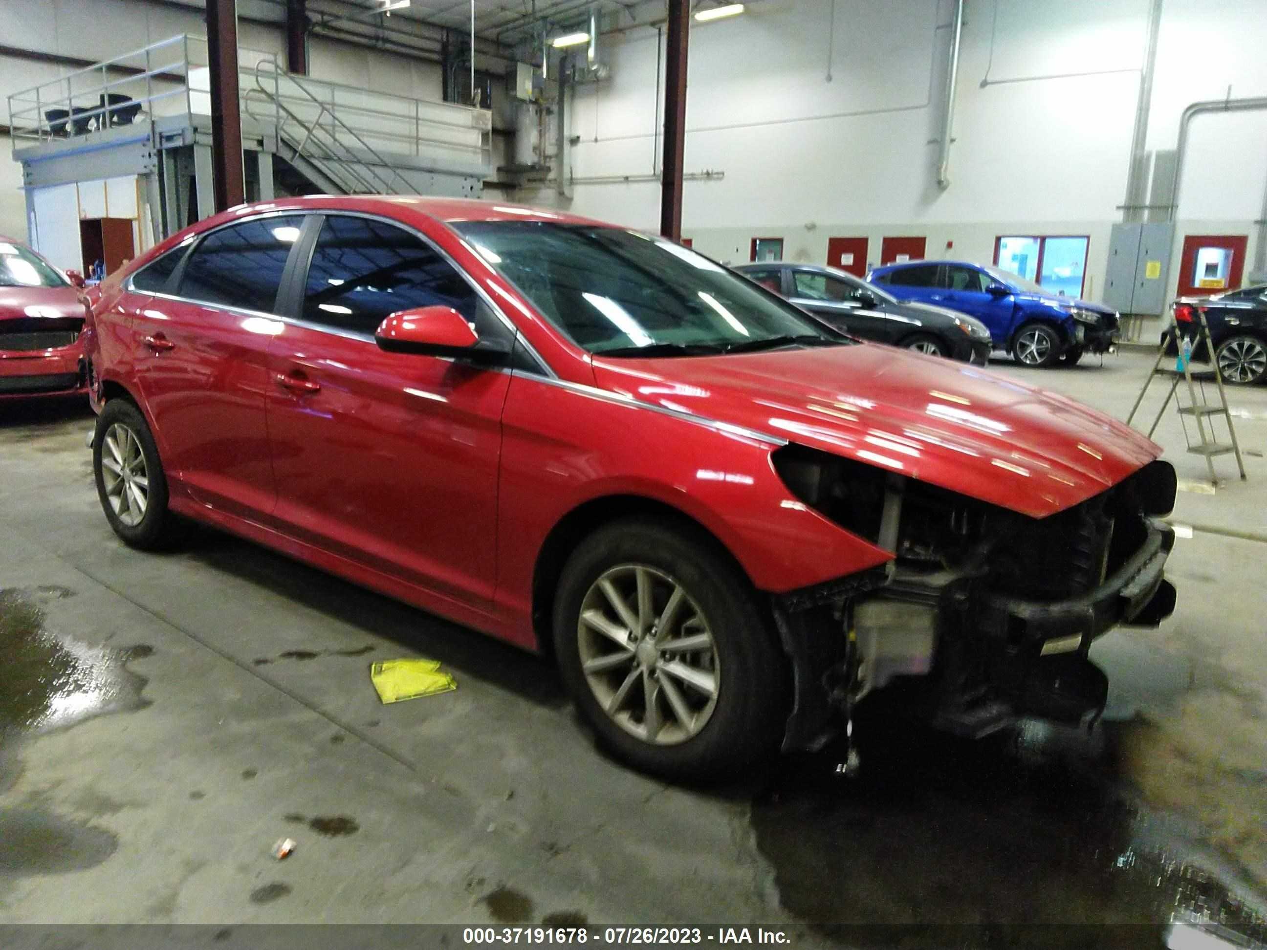 HYUNDAI SONATA 2019 5npe24af7kh794172