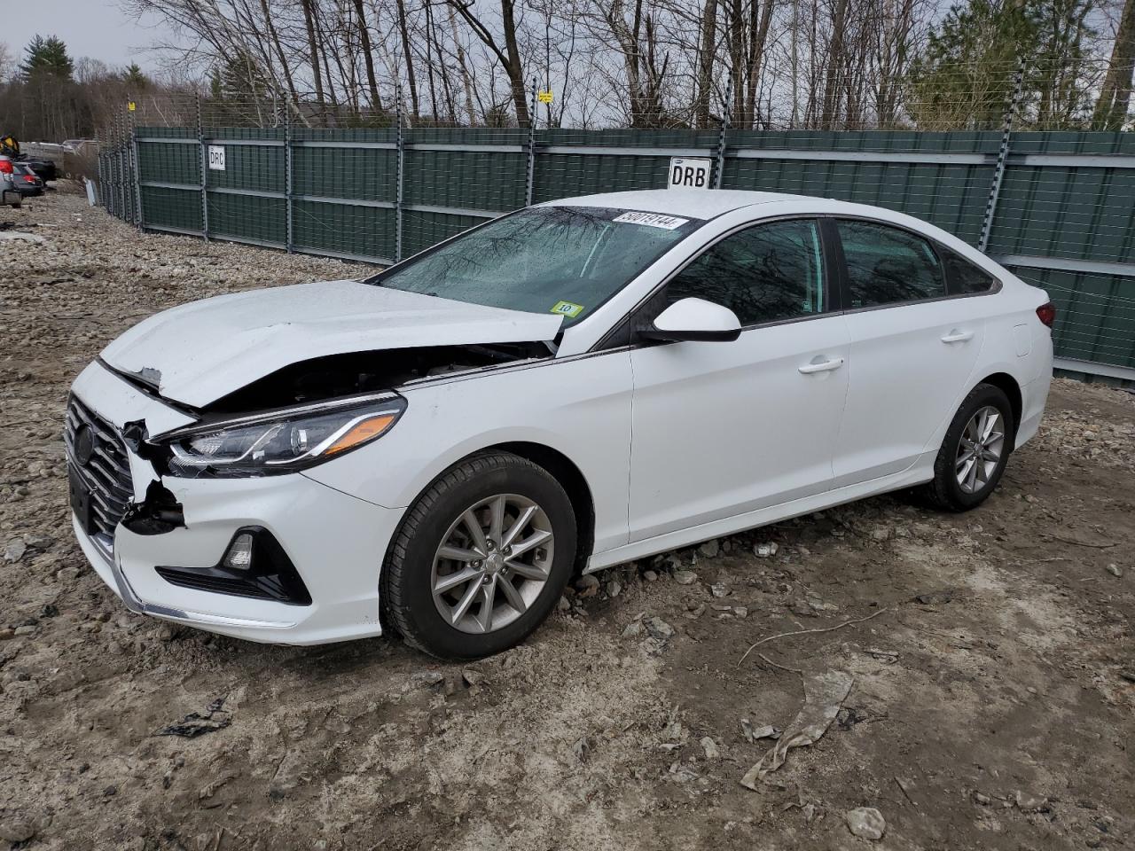 HYUNDAI SONATA 2019 5npe24af7kh795595