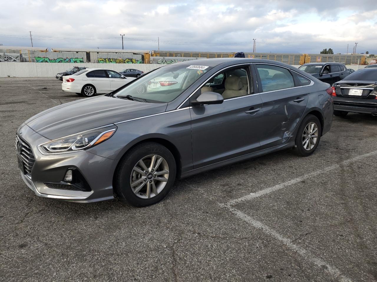 HYUNDAI SONATA 2019 5npe24af7kh797203