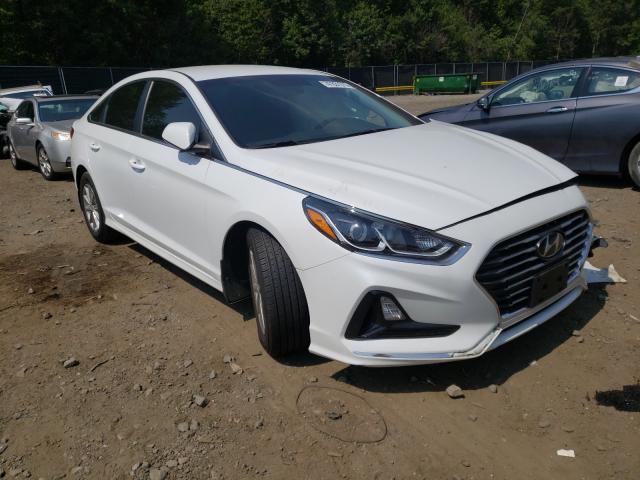 HYUNDAI SONATA SE 2019 5npe24af7kh804845