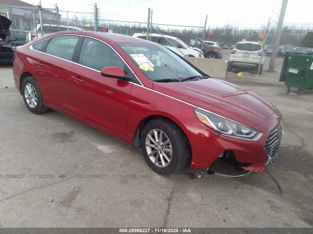 HYUNDAI SONATA 2019 5npe24af7kh805459