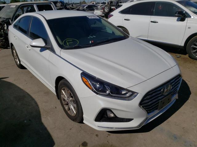 HYUNDAI SONATA SE 2019 5npe24af7kh807101