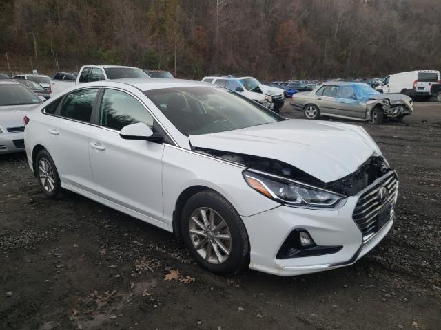 HYUNDAI SONATA SE 2019 5npe24af7kh811424