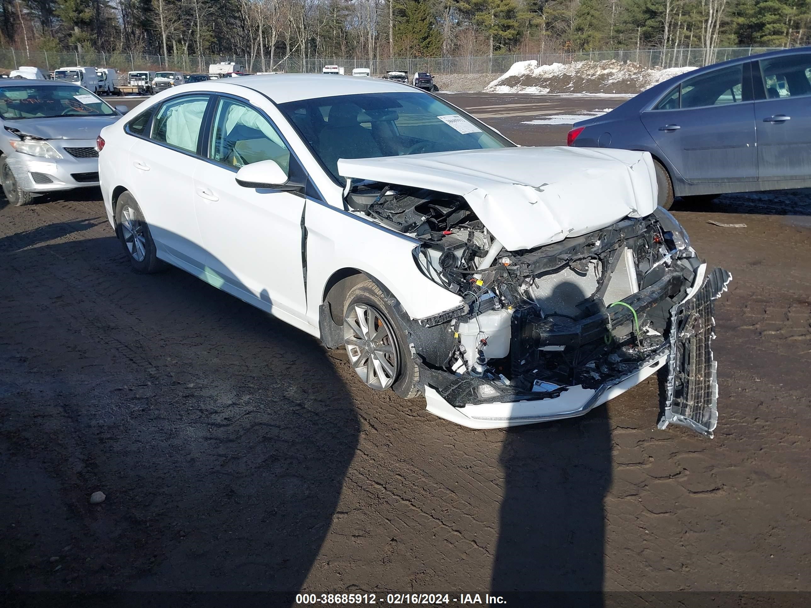 HYUNDAI SONATA 2019 5npe24af7kh812055